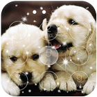 Cute Puppy Lock Screen-icoon