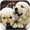 ”Cute Puppy Lock Screen