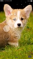 Cute Puppy Lock Screen syot layar 2