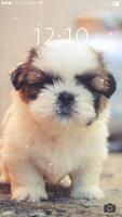 Cute Puppy Lock Screen 截图 3