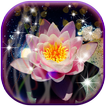 3D Lotus Live Wallpaper