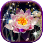 3D Lotus Live Wallpaper আইকন