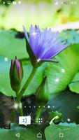 3D Lotus Live Wallpaper Affiche