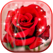 Love Romentic Rose LiveWP