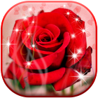 ikon Love Romentic Rose LiveWP