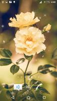 Love Romentic Rose LiveWP تصوير الشاشة 1