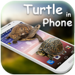 Tortoise in Phone Prank