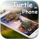 Tortoise in Phone Prank APK