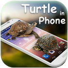 Tortoise in Phone Prank アイコン