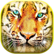 3D Tiger Live Wallpaper