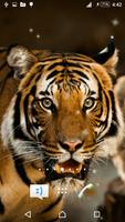 Tiger Live Wallpaper Plakat