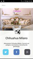 CHIHUAHUA MILANO-poster
