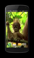 Baby Monkey Live Wallpaper screenshot 1