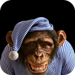 ”3D Monkey Live Wallpaper