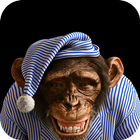 3D Monkey Live Wallpaper icône