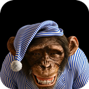 3D Monkey Live Wallpaper APK