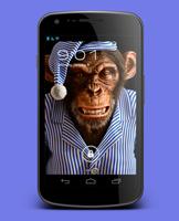 3D Monkey Live Wallpaper capture d'écran 2
