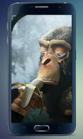 Monkey Banana Live Wallpaper Affiche