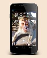 Monkey Sees You Live Wallpaper Affiche