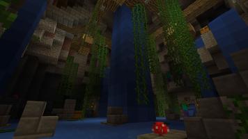 Down to the Well Minecraft map Affiche