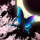 Moon*Cherry*Butterfly LWP APK
