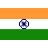 India Flag icon