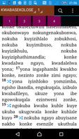 Zulu Offline Bible captura de pantalla 2