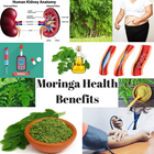 آیکون‌ MORINGA HEALTH BENEFITS - THE MIRACLE TREE