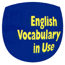 English Vocabulary In Use APK