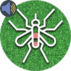 Mosquito Ringtone icône