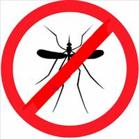 KILL Mosquito Prank Affiche
