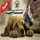 how to train🐶 your dog easily-APK