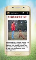 برنامه‌نما how to train🐶 your dog easily عکس از صفحه