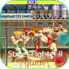 Guia Street Fighter 2 Zeichen