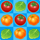 Chef Match icône