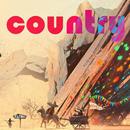 Country music from Western RADIO APK