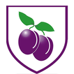 Plumcroft Primary School App