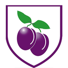 Plumcroft Primary School App icône