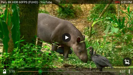 XX Video Player APK download