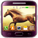 Horses Live Wallpaper-APK