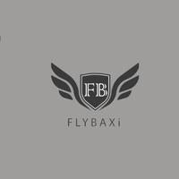 FlyBaxi スクリーンショット 1
