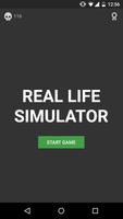 Real life Simulator постер