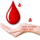 Blood Donation icône