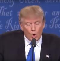 Instant WRONG - Donald Trump تصوير الشاشة 1