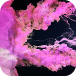 Magic dust Live Wallpaper