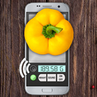 Kitchen scale simulator icon