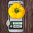 Kitchen scale simulator APK