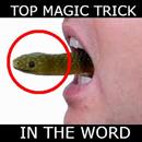Magic Trick Shows of World APK