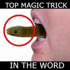 Icona Magic Trick Shows of World