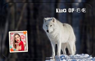 Wolf Photo Frame اسکرین شاٹ 3